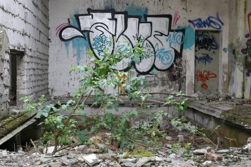 Graffiti Bombing in Soest - Photo by GraffSoest - alme