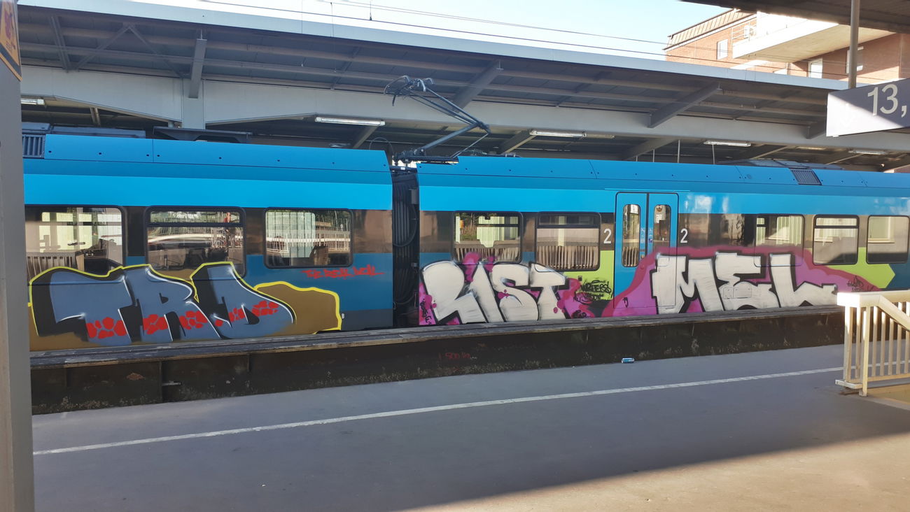 Graffiti Wall - Photo by GraffSoest - Train, Trd, Rast (2019)
