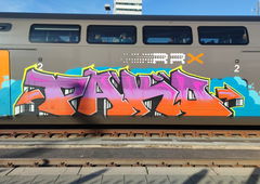 Graffiti Train - Photo by GraffSoest - pako, train (2023)