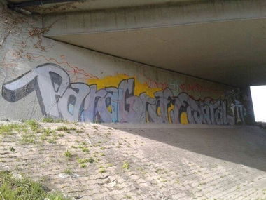 Graffiti Bombing - Photo by GraffSoest