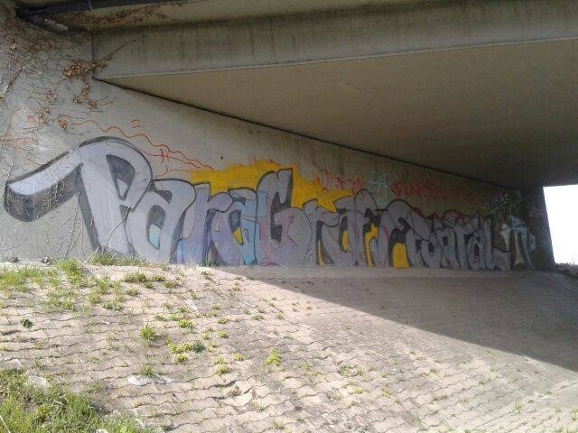 Graffiti Bombing - Photo by GraffSoest