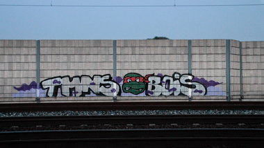 Graffiti Bombing - Photo by GraffitiAugsburg - TMNS, Bois, TMNS