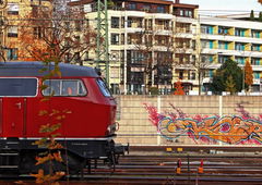 Photo #147921 by tostkopf