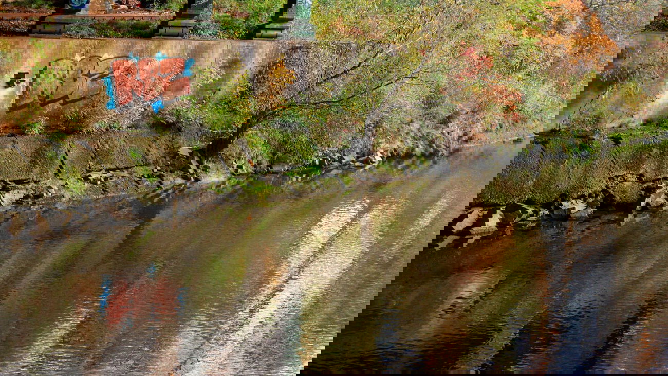 Graffiti Bombing - Photo by GraffitiAugsburg - RBZ