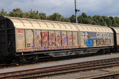 Graffiti Train - Photo by GraffitiBS - REK, NOFX, graffitibs
