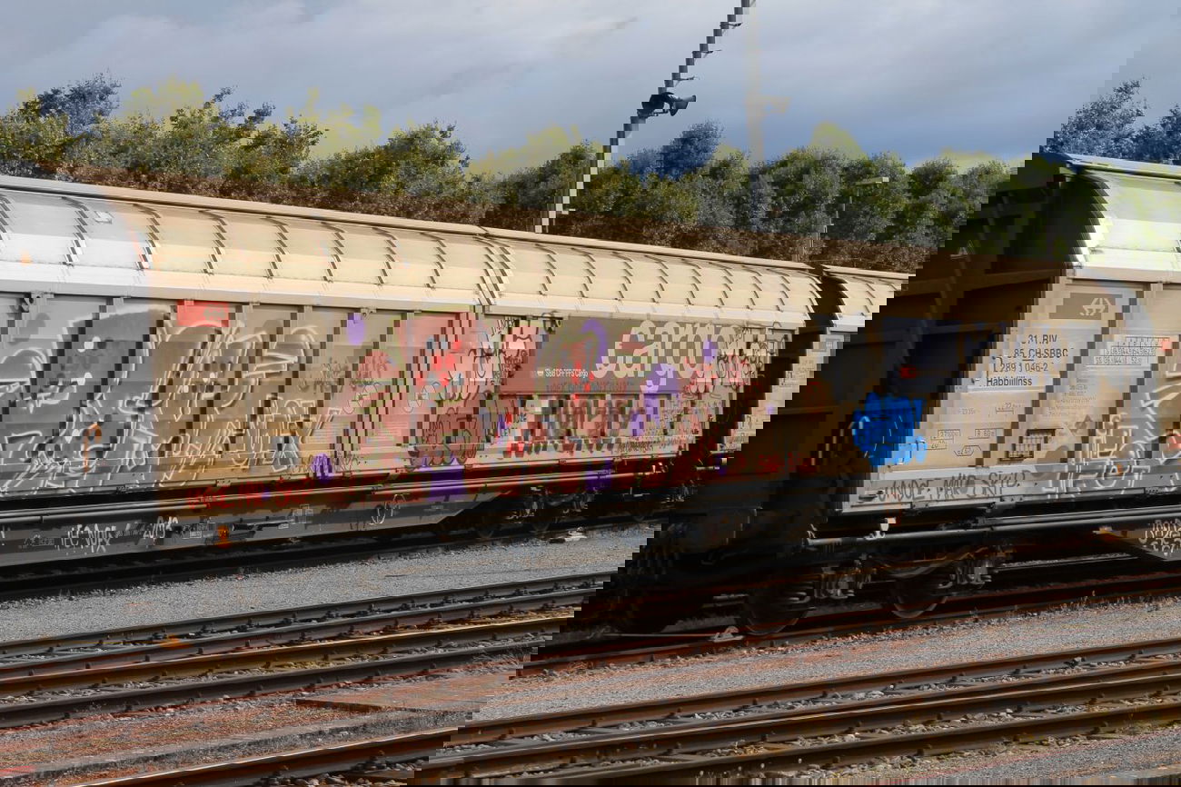 Graffiti Train - Photo by GraffitiBS - REK, NOFX, graffitibs