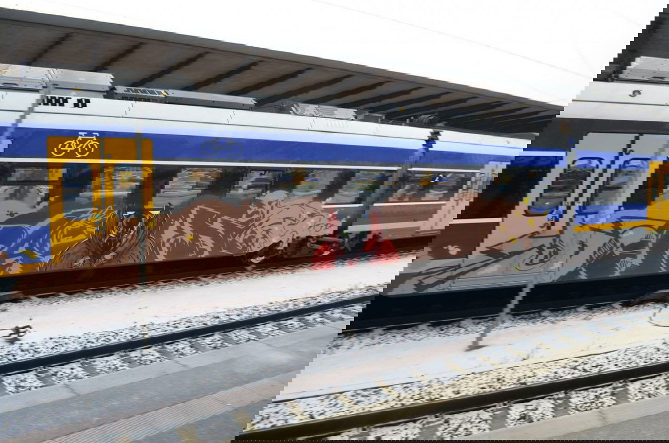 Graffiti Train in Bremen - Photo by GraffitiBremen - dopal, niek, bremen (2014)