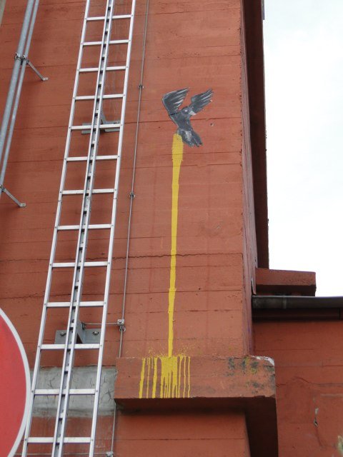 Graffiti Street Art in Emden - Photo by GraffitiEmden - Bird