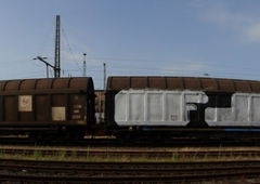 Photo #146540 by Anis