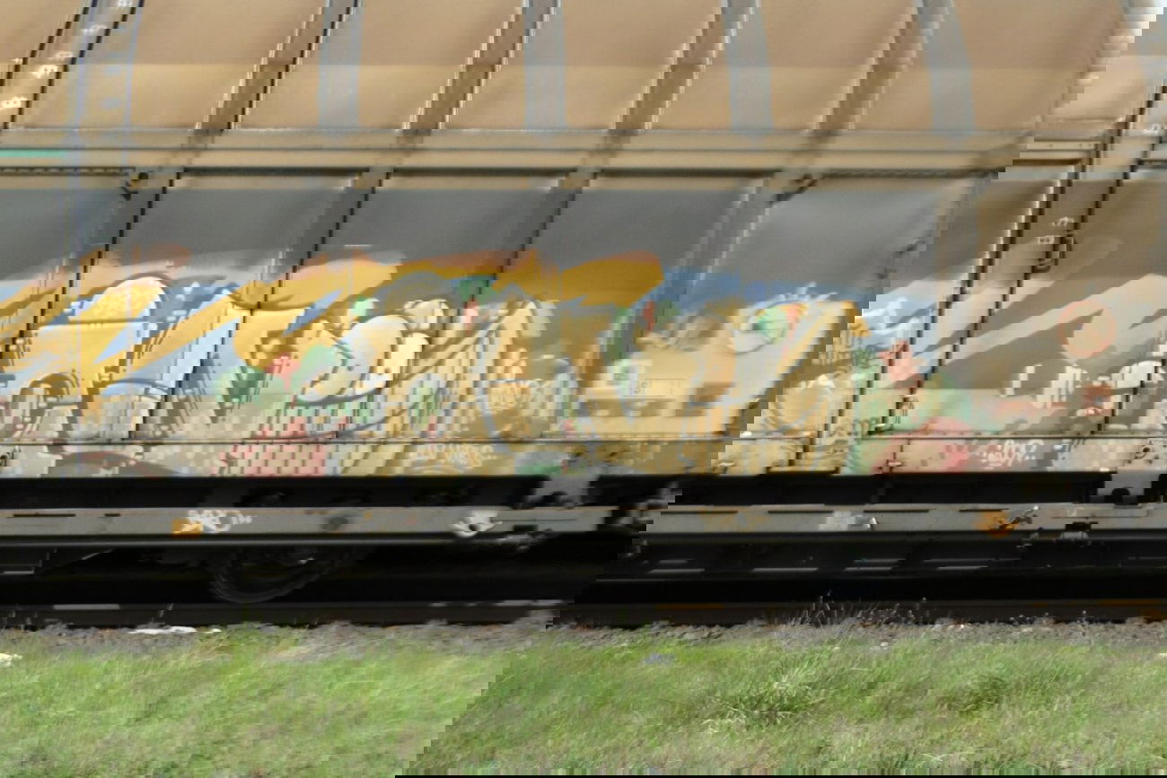 Graffiti Train in Emden - Photo by GraffitiEmden - ino, virus, bro (2009)