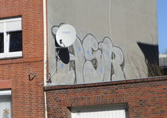 Photo #146541 by 26725