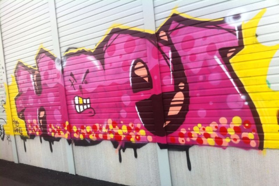 Graffiti Bombing - Photo by GraffitiLover007 - hoe (2013)