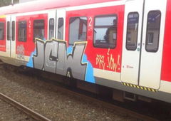 Photo #50293 by SH0X0N3