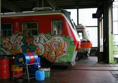 Photo #51484 by Varea