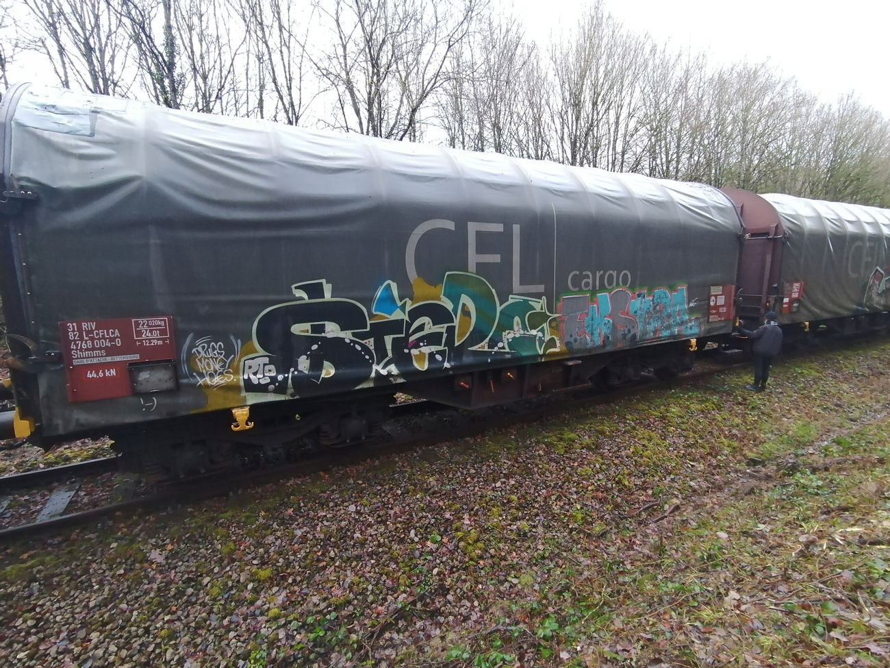 Graffiti Train in Luxembourg - Photo by Grafilzer - freight, cargo, fr8