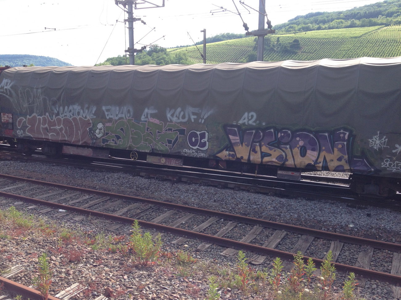Graffiti Train - Photo by Grafilzer - vision, dex, dex1