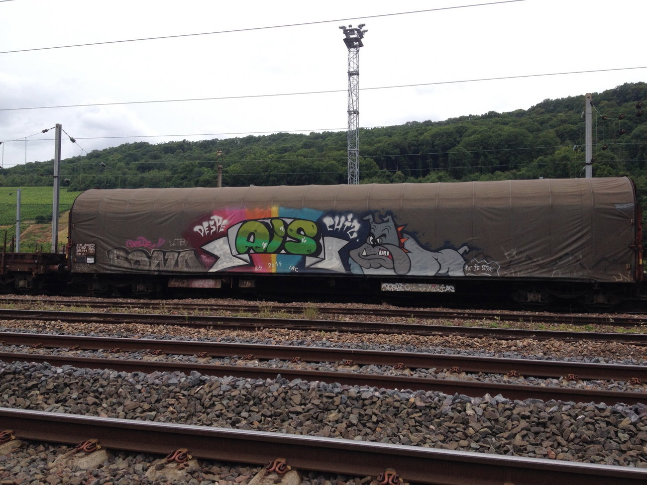 Graffiti Train - Photo by Grafilzer - ais