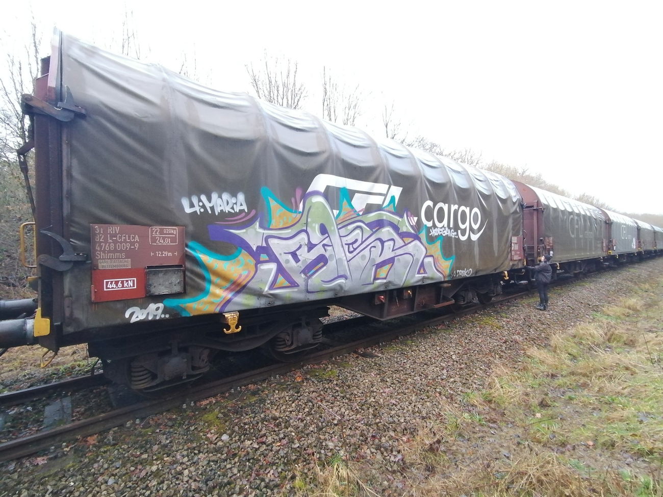 Graffiti Train in Luxembourg - Photo by Grafilzer - freight, cargo, fr8