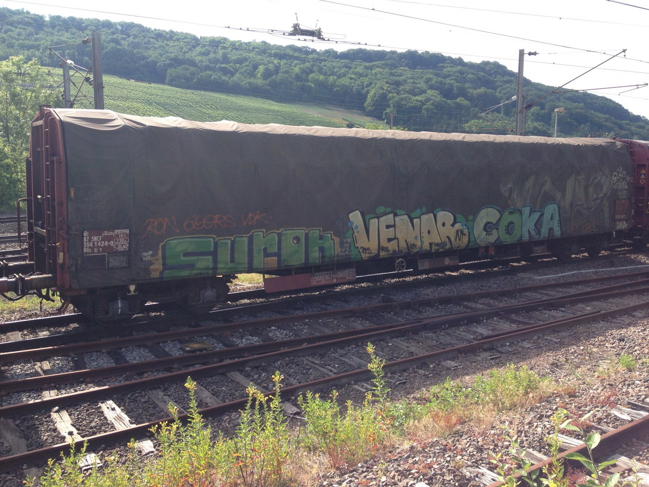 Graffiti Train - Photo by Grafilzer - surok, venar, coka