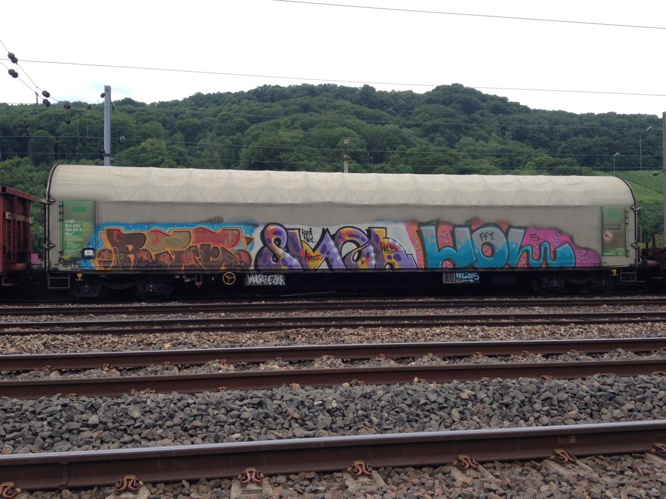 Graffiti Train - Photo by Grafilzer - wol
