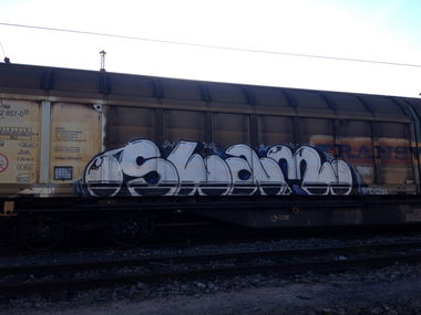 Graffiti Train - Photo by Grafilzer - slam