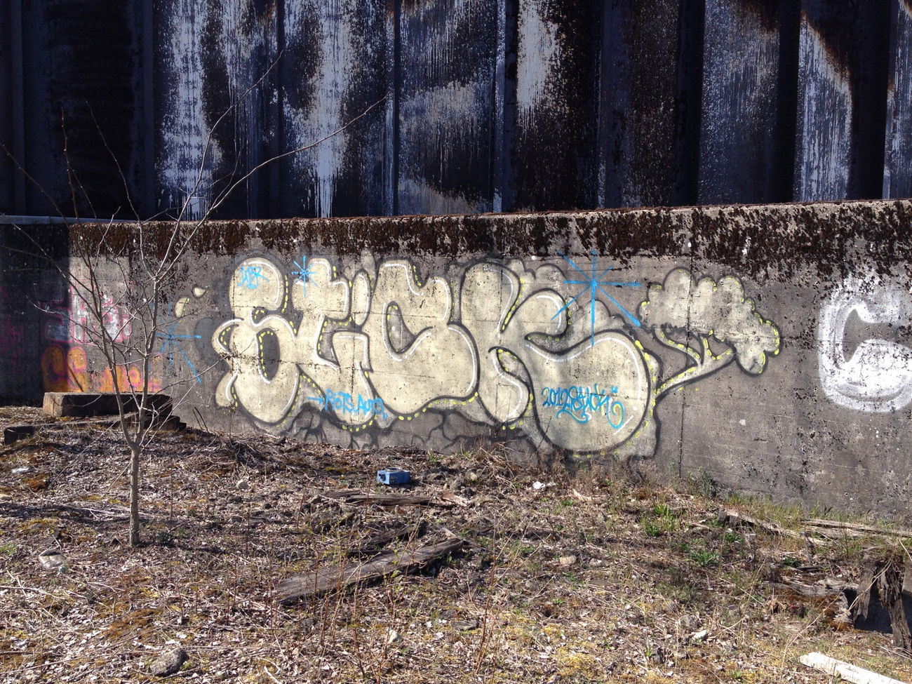 Graffiti Bombing in Luxembourg - Photo by Grafilzer - stick, fdh