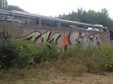 Graffiti Bombing in Luxembourg - Photo by Grafilzer - sior, bft