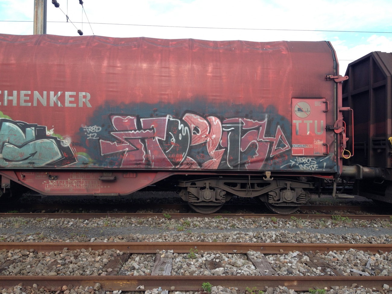 Graffiti Train - Photo by Grafilzer - hobos
