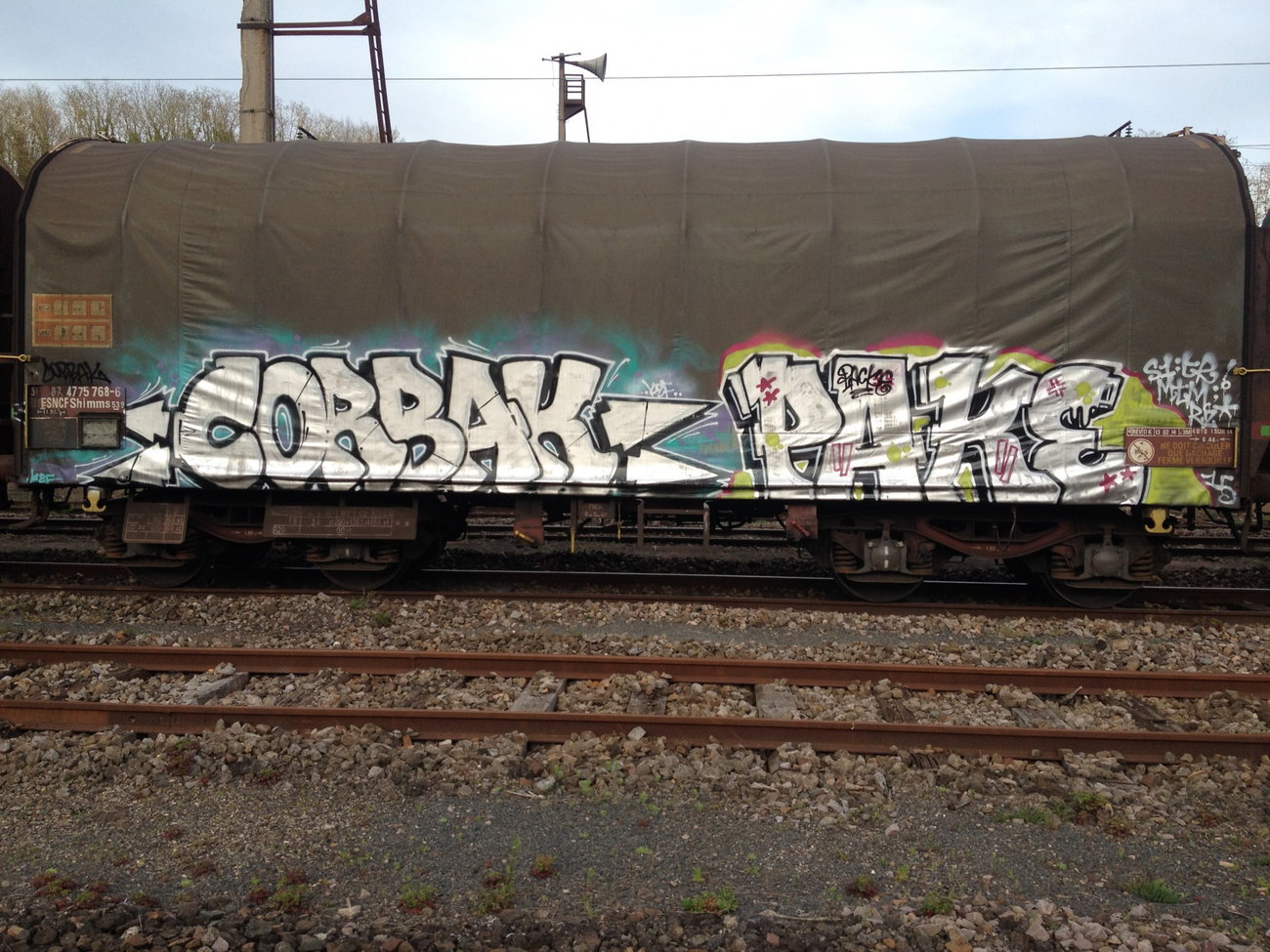 Graffiti Train - Photo by Grafilzer - corbak, pake