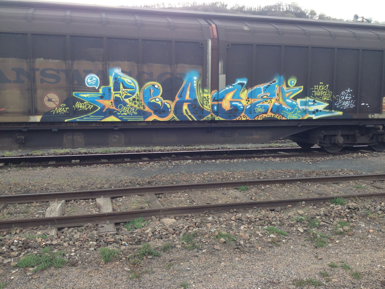 Graffiti Train - Photo by Grafilzer - peace