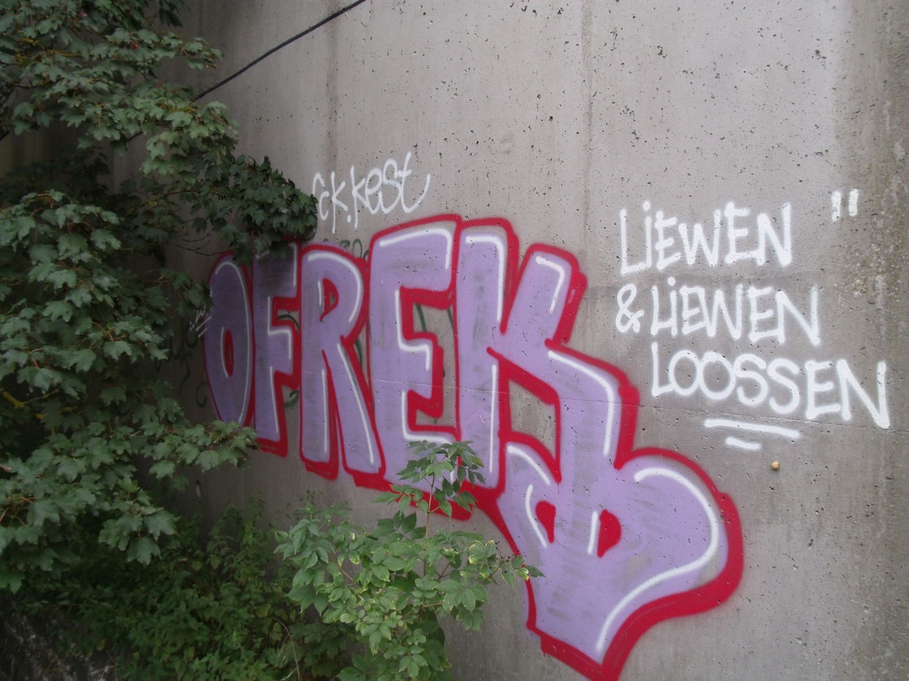 Graffiti Bombing in Trier - Photo by Grafilzer - kest, fck, ofrek