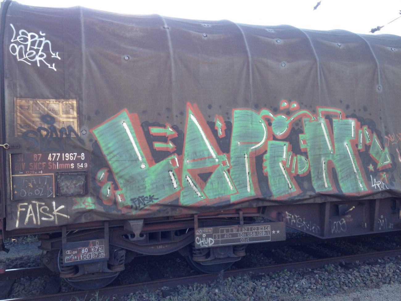 Graffiti Train - Photo by Grafilzer - lapin