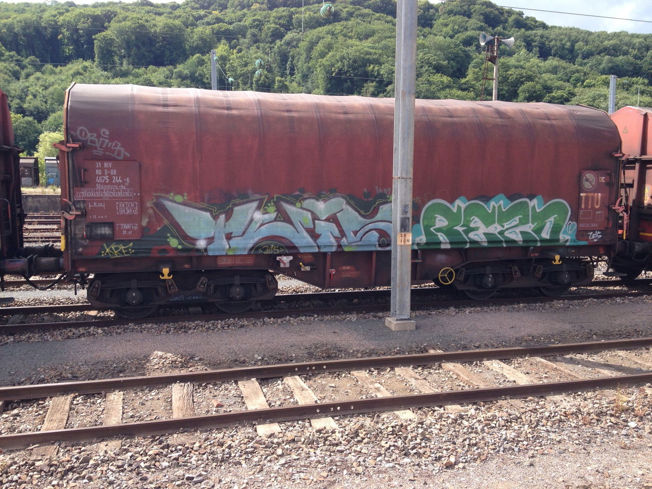 Graffiti Train - Photo by Grafilzer - twis, rezo