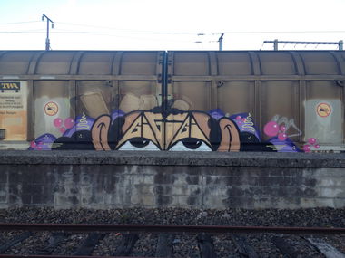 Graffiti Train - Photo by Grafilzer - gigi