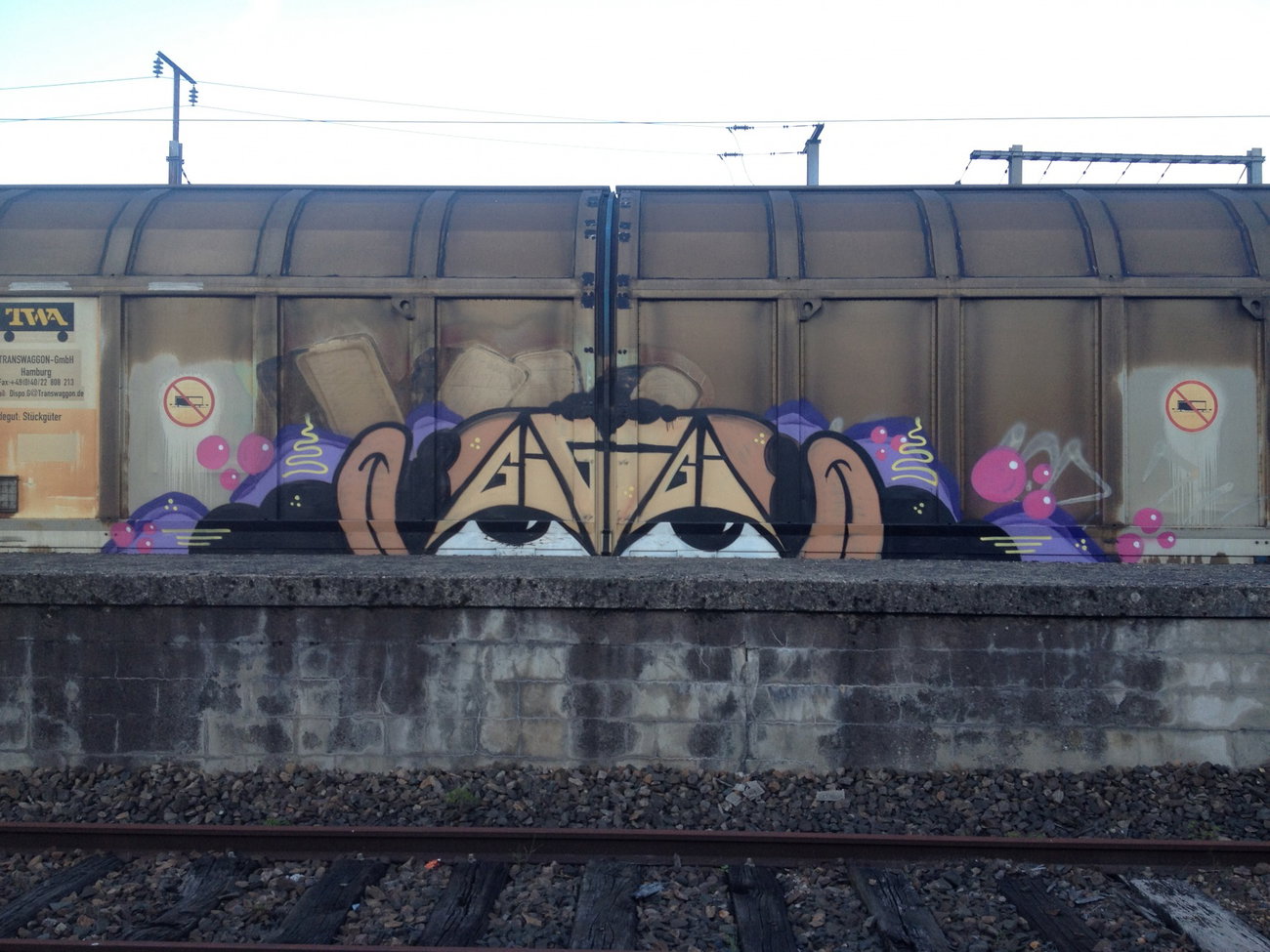 Graffiti Train - Photo by Grafilzer - gigi