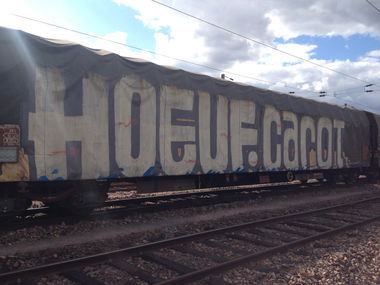 Graffiti Train - Photo by Grafilzer - hoeuf, carot