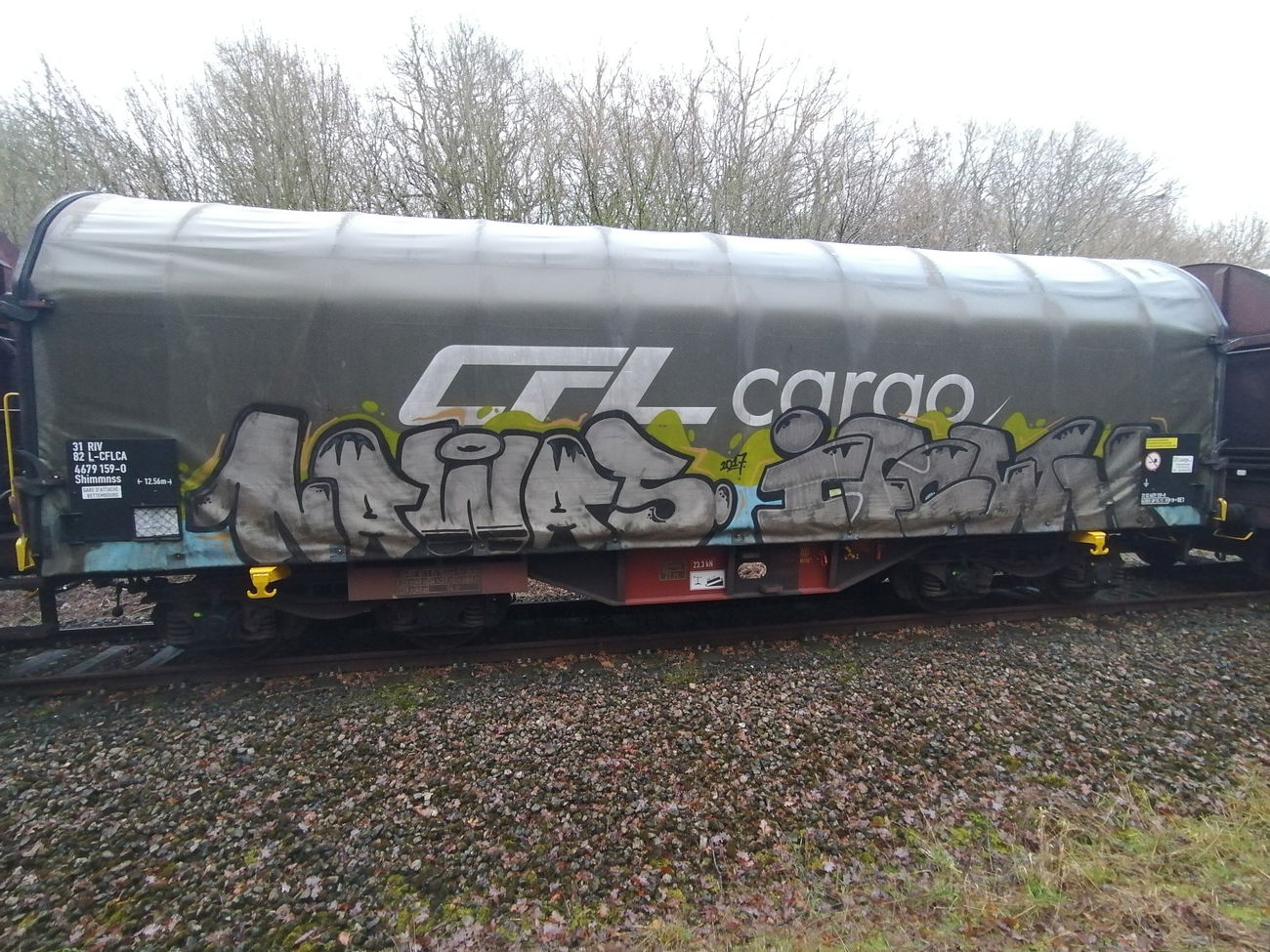 Graffiti Train in Luxembourg - Photo by Grafilzer - freight, cargo, fr8