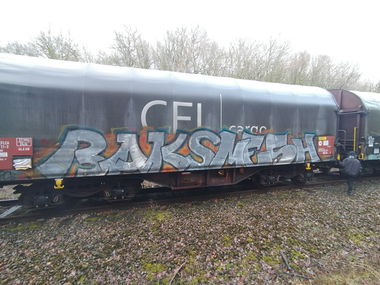 Graffiti Train in Luxembourg - Photo by Grafilzer - freight, cargo, fr8