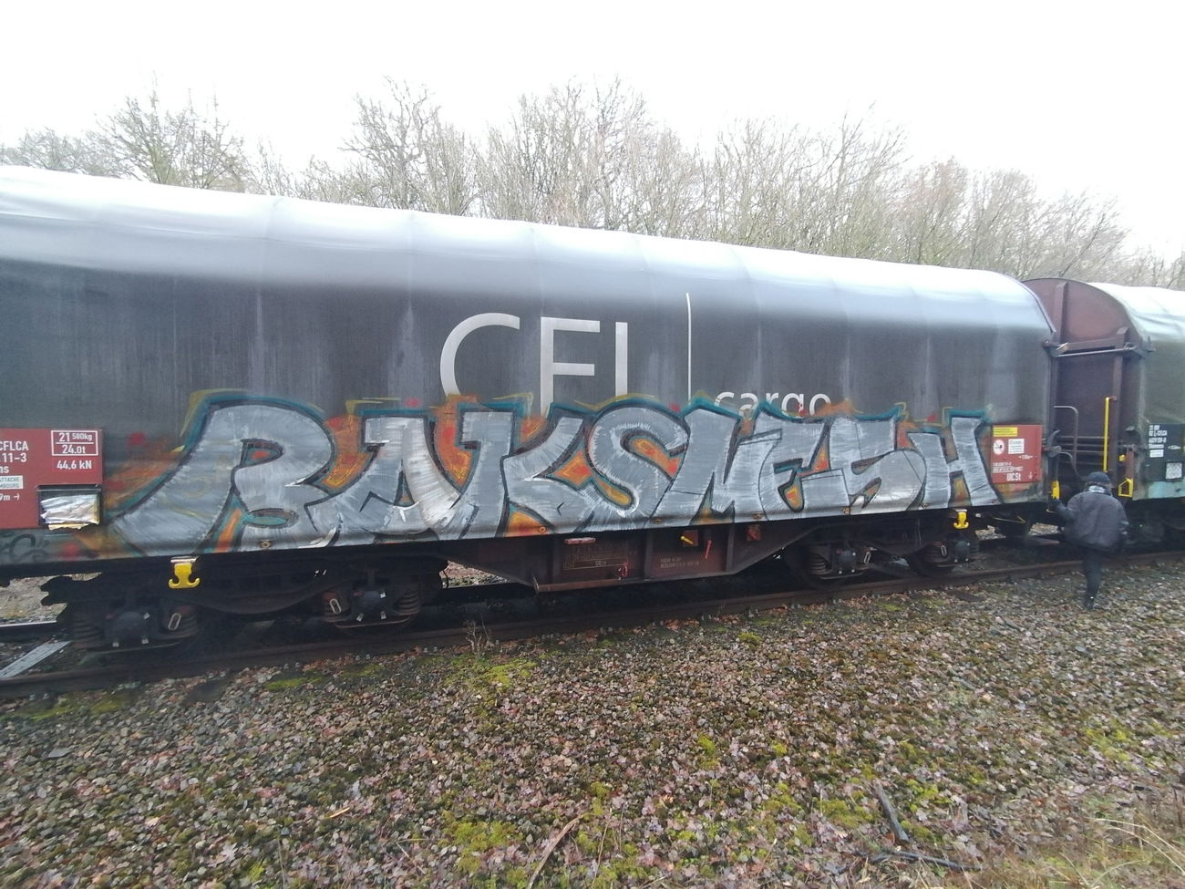 Graffiti Train in Luxembourg - Photo by Grafilzer - freight, cargo, fr8