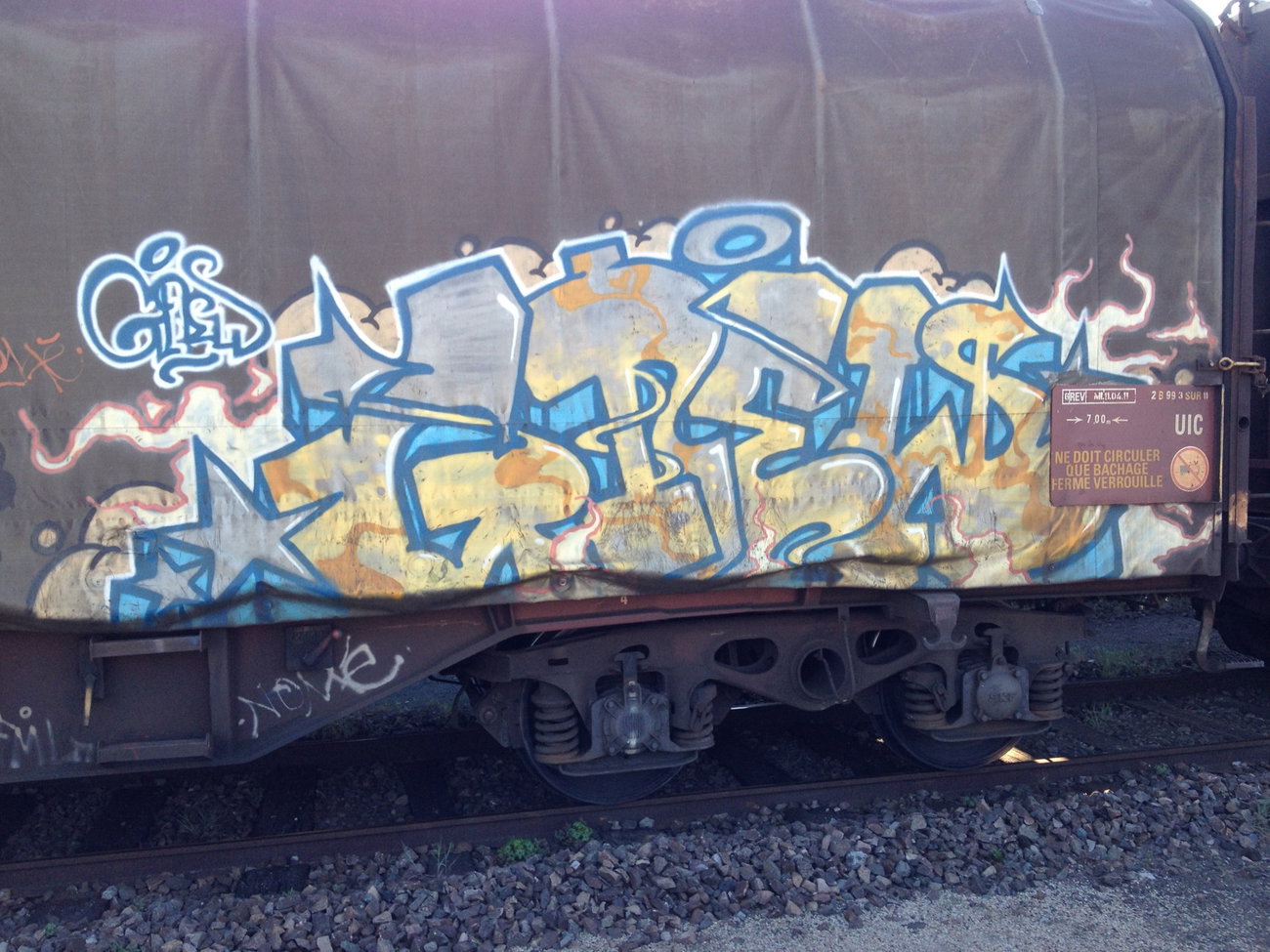 Graffiti Train - Photo by Grafilzer - gnew
