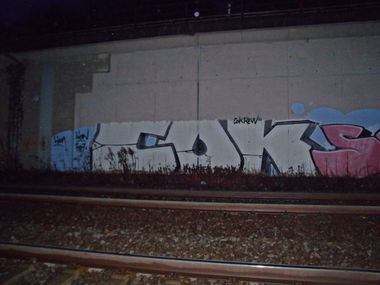 Graffiti Bombing in Trier - Photo by Grafilzer - cok
