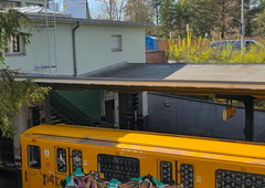 Photo #249870 by mirea19