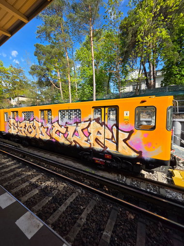 Graffiti Train - Photo by Grafmessie