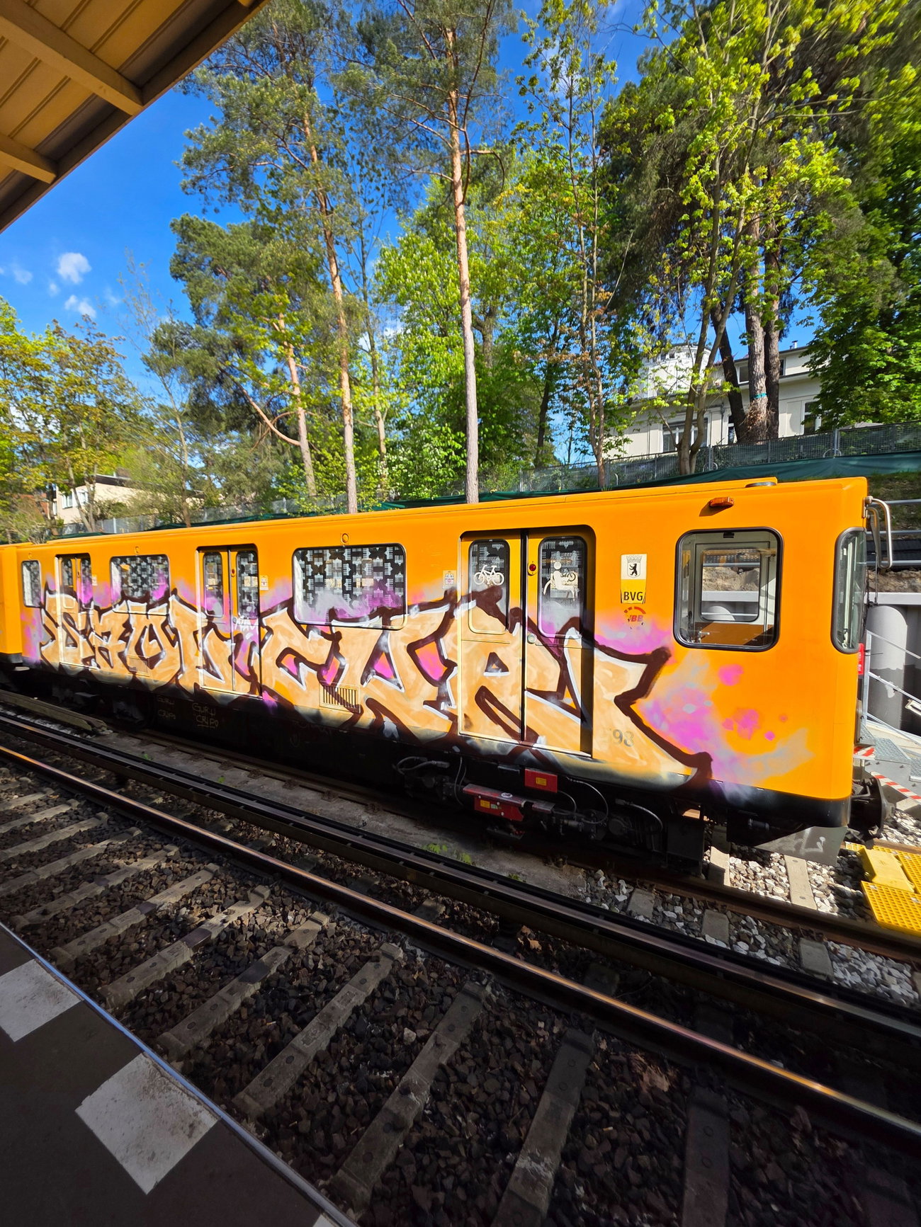 Graffiti Train - Photo by Grafmessie