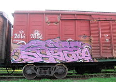 Photo #189011 by gazon1