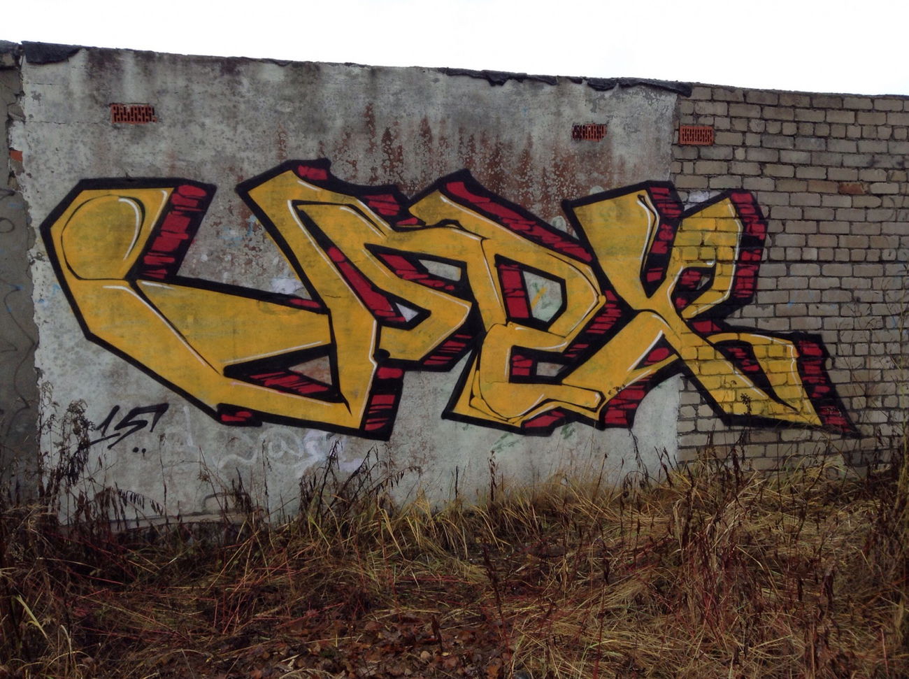 Graffiti Wall - Photo by GrapeUmexCrew - Grape (2015)
