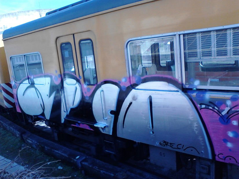 Graffiti Train in Buenos Aires - Photo by GreciaGreece - Graffiti, Art, Argentina (2013)