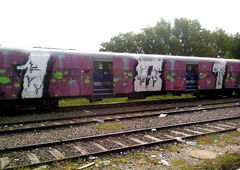 Photo #154020 by MENO