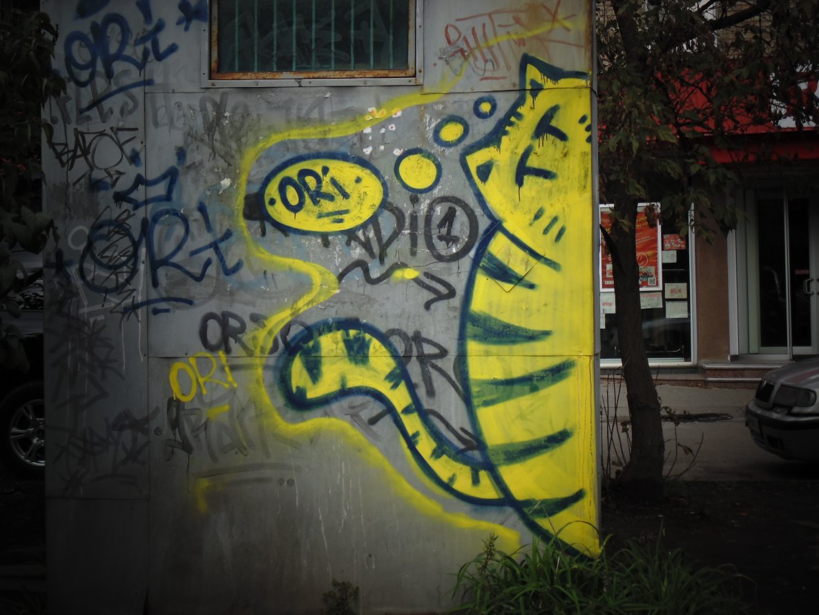 Graffiti Street Art in Kyiv - Photo by Grehuoz - colored, cat, ori (2013)