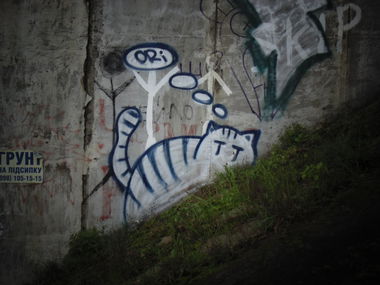Graffiti Street Art in Kyiv - Photo by Grehuoz - chrome, cat, ori (2013)